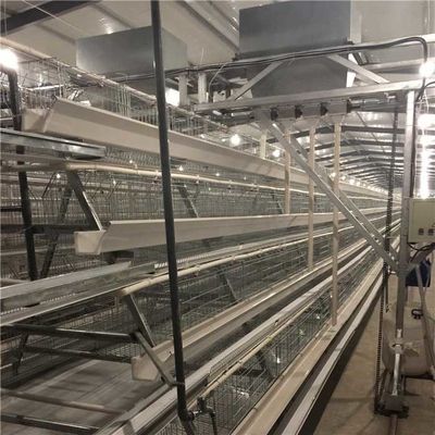 Large Scale Farm Automatic Poultry Feeder System Quick Conveying Speed