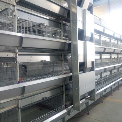 Fast Poultry Farm Feed Machine , Automated Poultry Equipment Simple Structure