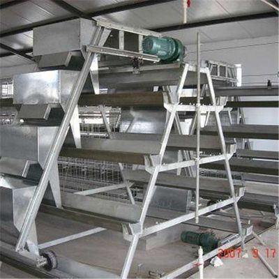 H Type Automatic Poultry Feeder System Low Energy Consumption Easy To Manage
