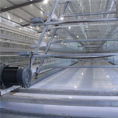 High Durability Automated Poultry Equipment , Efficient Poultry House Equipment