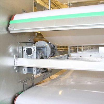 Multi Level Power Automatic Layer Poultry Equipment For Manure Cleaning