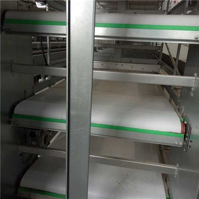 Hot Galvanized Surface Automatic Manure Removal System IS9001 Certification