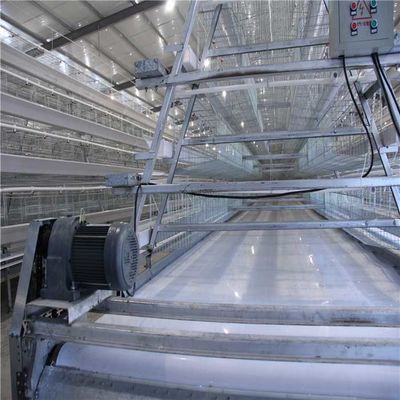 Q235 Steel Wire Automatic Manure Removal System Hot Galvanized Material