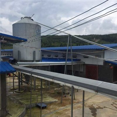 Galvanized Poultry Farming Equipment 15 Tons Capacity For Chicken Feed