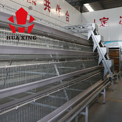 Durable A Type Layer Chicken Cage System Automatic Control IS9001 Approval