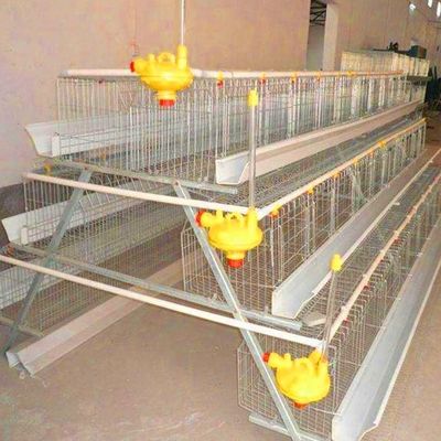 195*35*38cm 90 Birds Layer Chicken Cage Poultry Farm Equipment