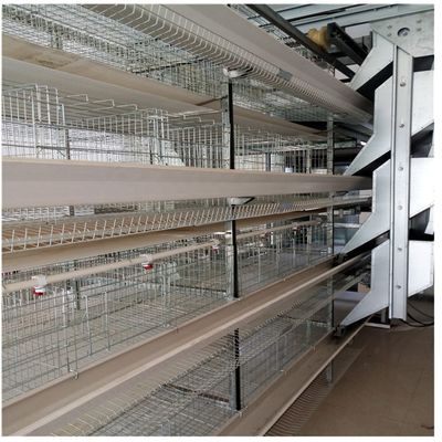 H Type 128 Birds 4 Layer Battery Cage Poultry Farming Equipment