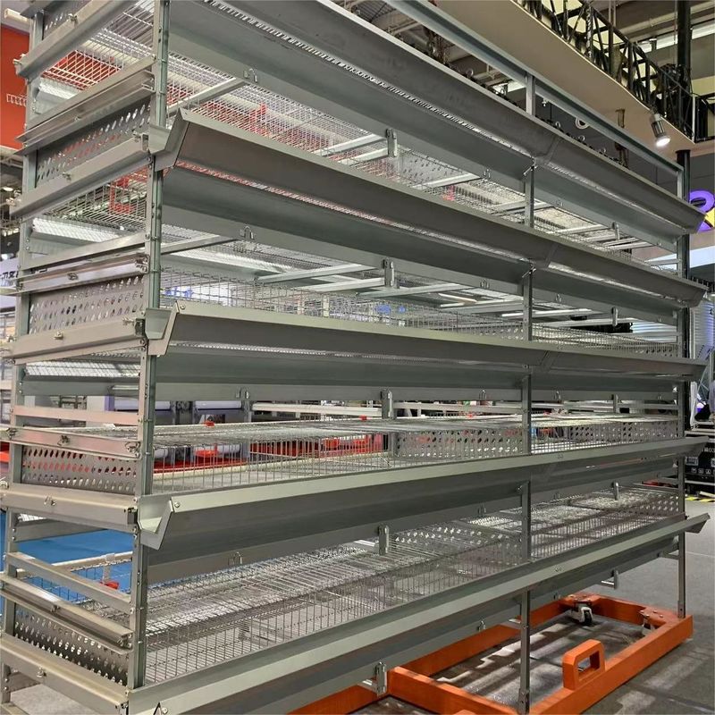 Automatic Egg Quail Cage For 6 Tier Cage Capacity 200000 Quail Per Farm
