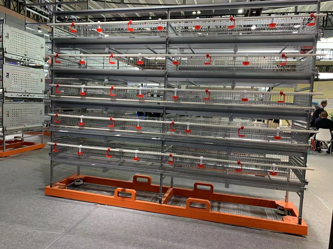 Automatic Egg Quail Cage For 6 Tier Cage Capacity 200000 Quail Per Farm