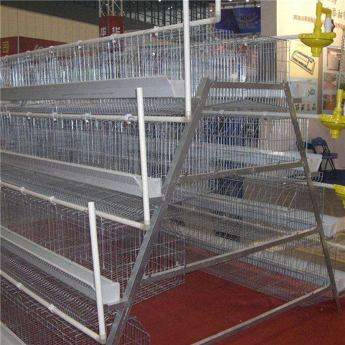 3/4/5 Tiers A Type Layer Chicken Cage Large Scale Farm Use
