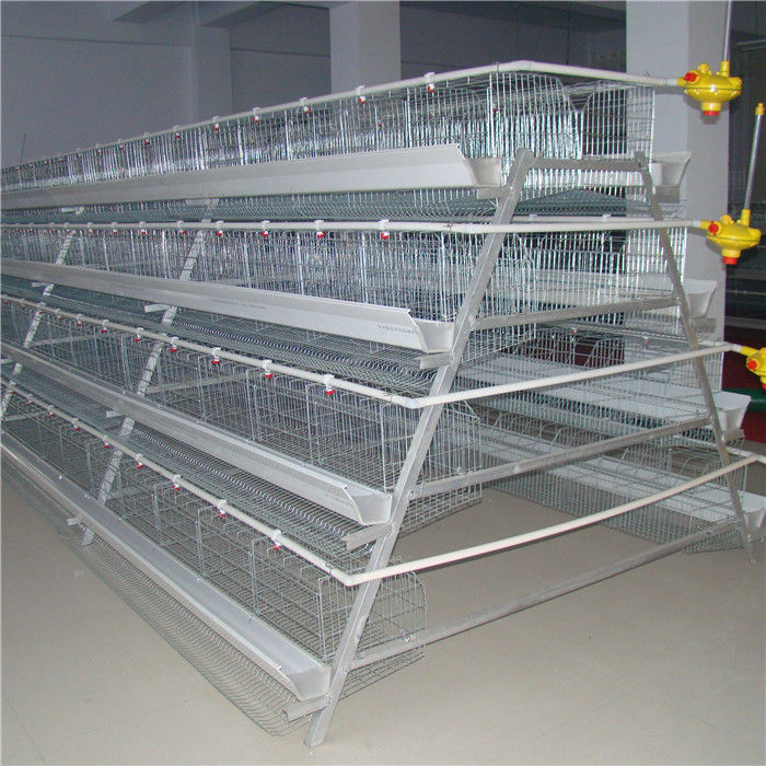 Chicken Farming 3 Tiers A Frame Layer Cages Automatic Manure System