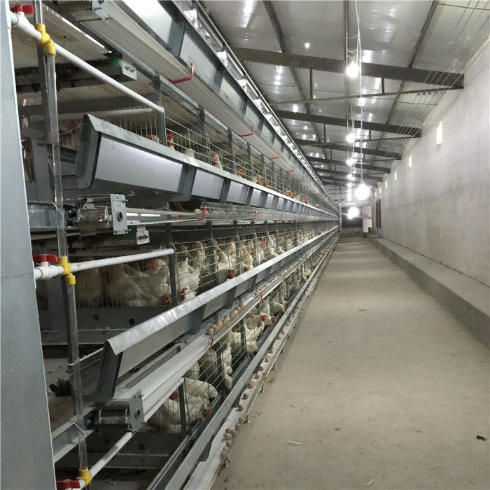 Hot Dipped Galvanized H Frame Automatic Battery Animal Cage/Chicken Layer Cage/Chicken Layer Battery Cage For Sale