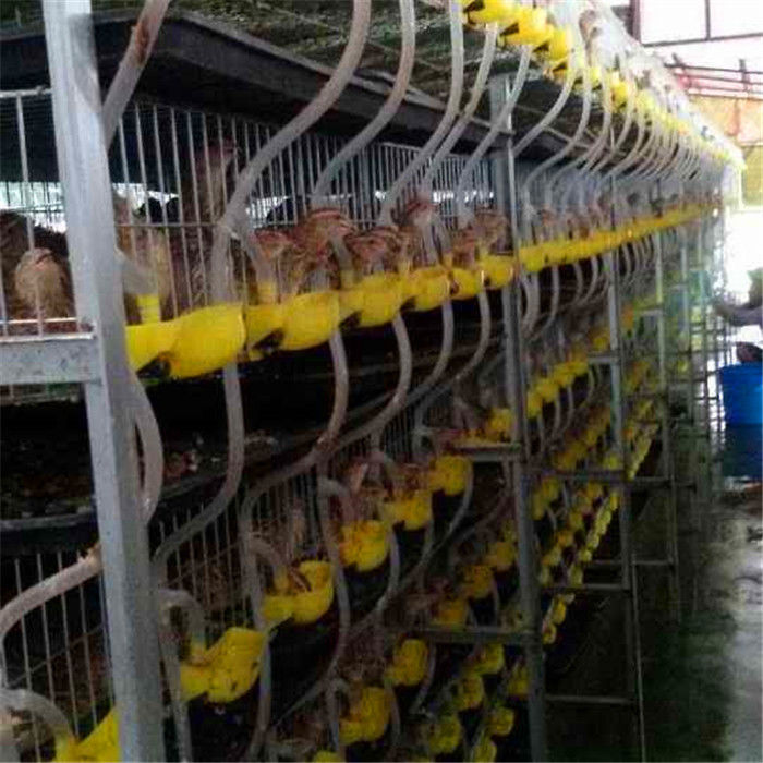 H Type A Type Automatic Quail Cage Cold Drawn Wire Welding