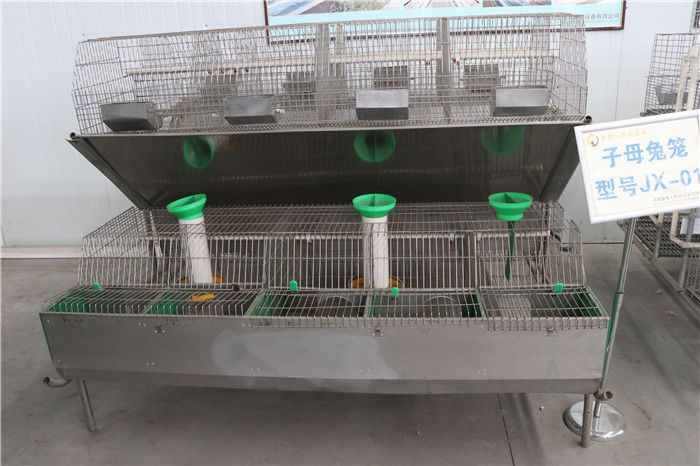 Commercial Poultry 24 Position Wire Mesh Rabbit Cage Automatic Control System