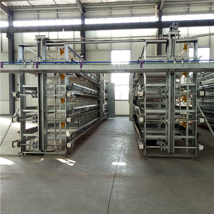Poultry Farm Automatic Egg Collection System For A Cage H Cage