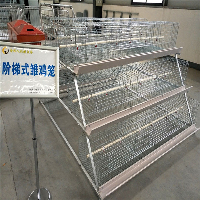 A Type Chicken Brooding Cage Hot Galvanized For Chicken Farm