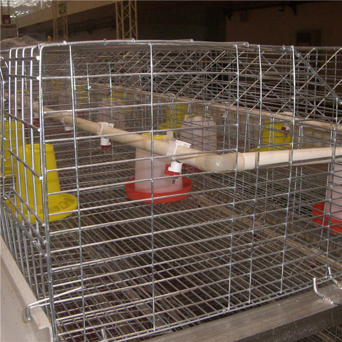 Q235 Steel Wire Baby Chick Cage 264 Birds Feeding System Drinking System