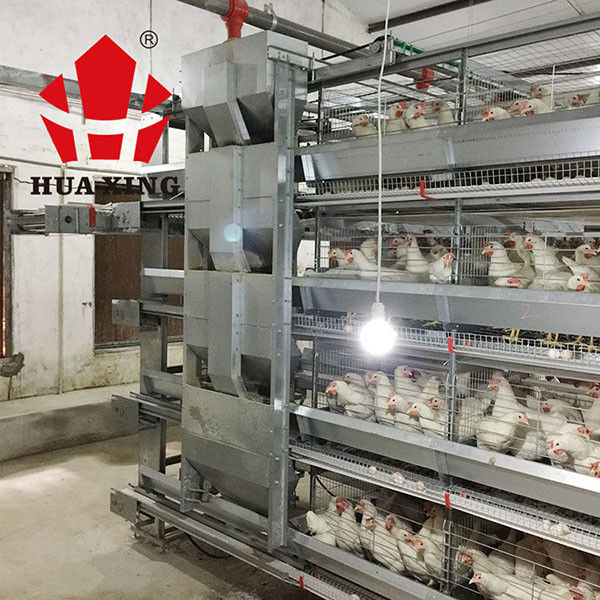 Rational Structure Automatic Water Feeder For Chickens / Automatic Poultry Feeder For Broiler