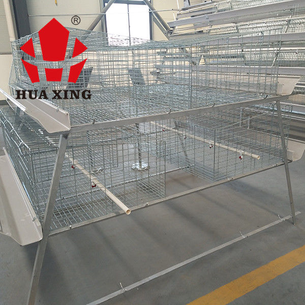 A Type 3 Tiers Growing Broilers In Cages , Silver Color Broiler Farm Equipment