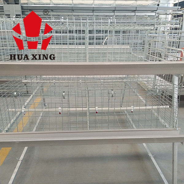 Commercial Poultry Chicken Cage Hot Dipped Wire Mesh Material Easy To Install