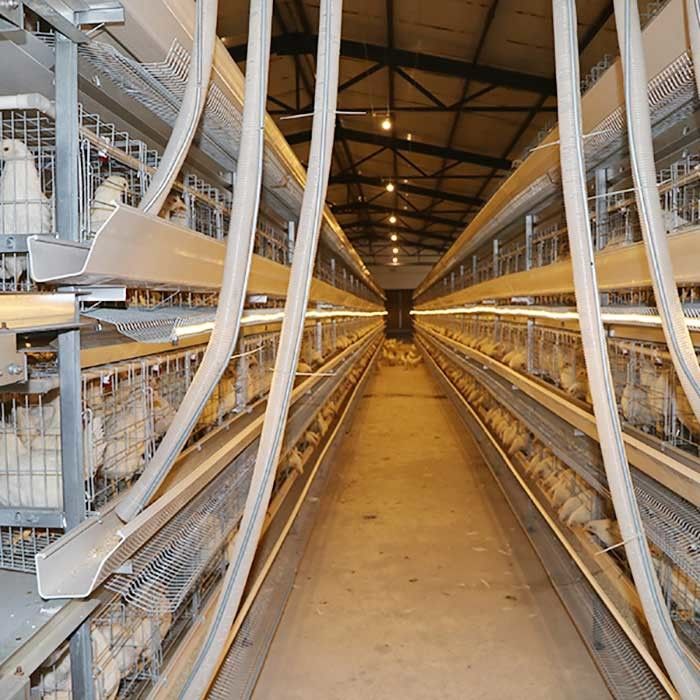 Large Capacity Farm Layer Chicken Cage Battery Power Hot Dipped Gavalnized Material