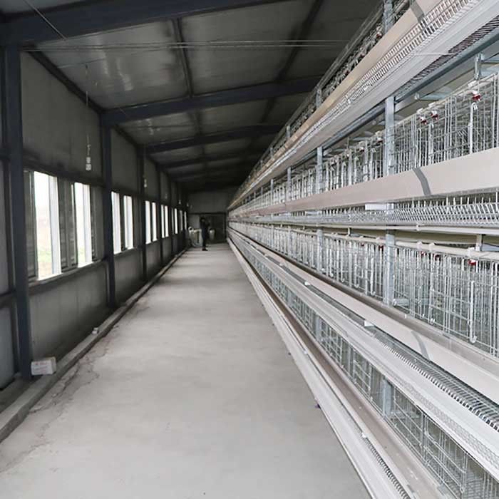 Egg Holding Wired Layer Farming Cage , Scientific Designed Layer Hen Cages