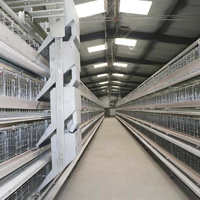 High Efficiency Poultry Chicken Cage 90 - 160 Birds / Set Rigid Frame