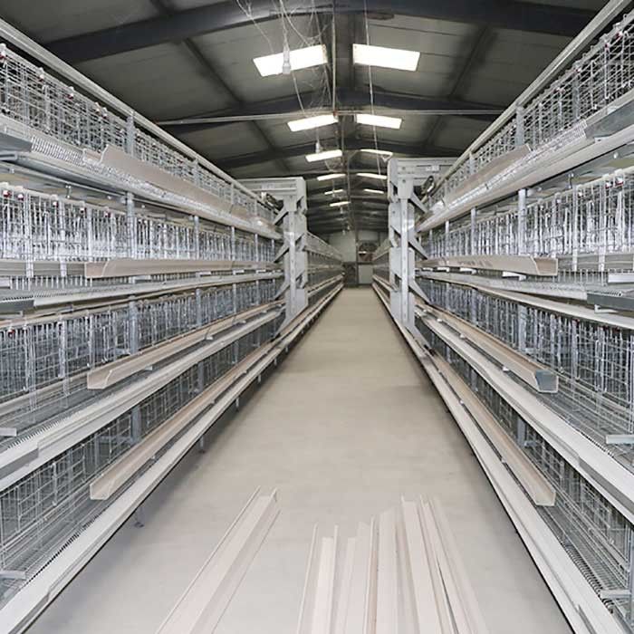 High Efficiency Poultry Chicken Cage 90 - 160 Birds / Set Rigid Frame