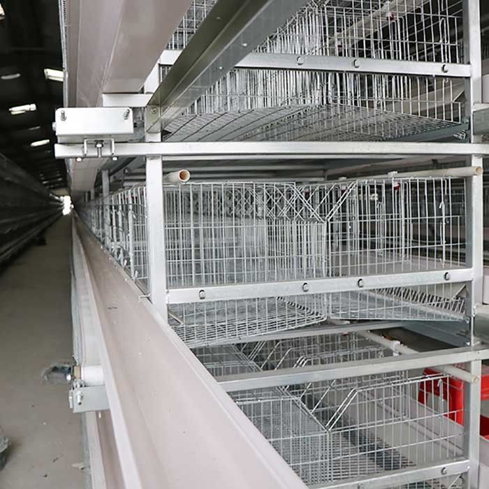 U Shape Steel Automatic Poultry Cage , 3 Phase 50HZ A Frame Layer Cages