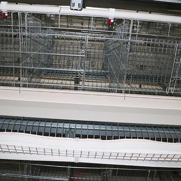 Durable A Type Layer Chicken Cage System Automatic Control IS9001 Approval