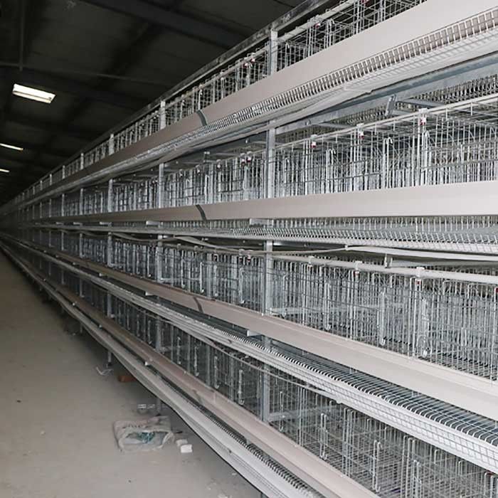 Coop Rearing Poultry Farming Battery Cage System , A Type Layer Cages For Chicken