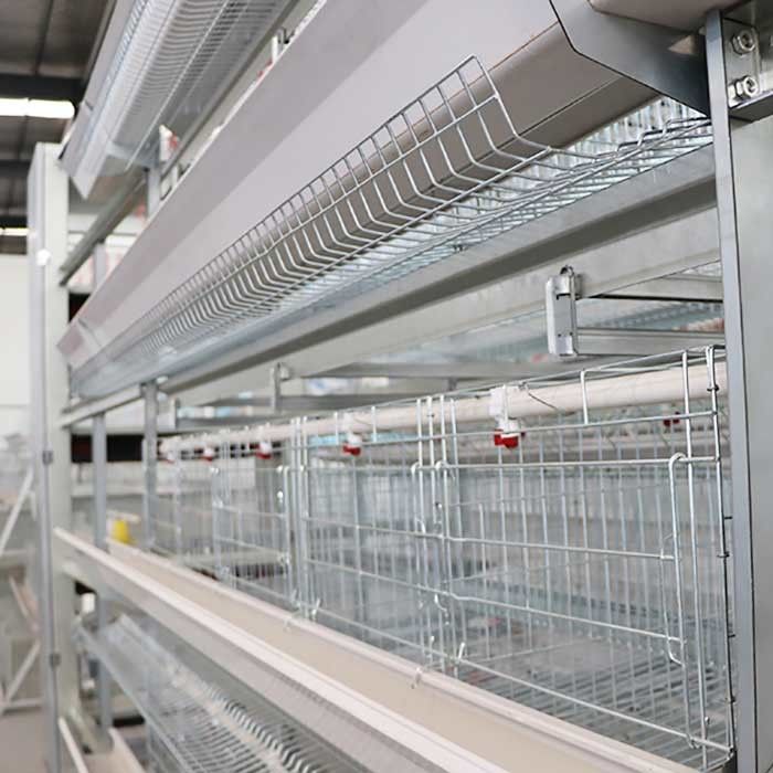 Anti Corrosion Layer Chicken Cage For Laying Eggs Large Scale Farm Use