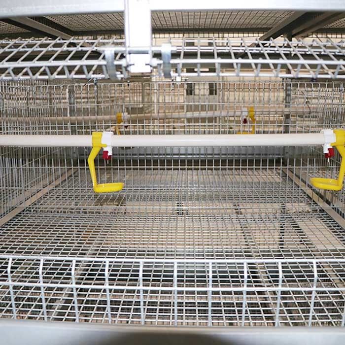 Aging Resistance Poultry Farm Cage , Three Tiers Battery Cage System For Broilers