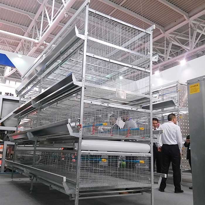 Q235 Steel 45 Days Chicken Cage , Labor Saving Broiler Farming In Cage System