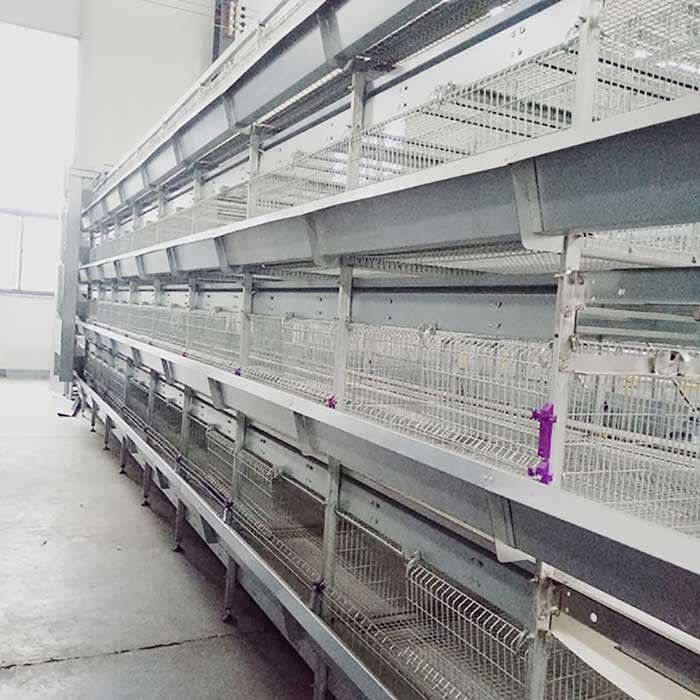H Frame 8 Doors Broiler Chicken Cage Automatic Hot Dip Galvanized
