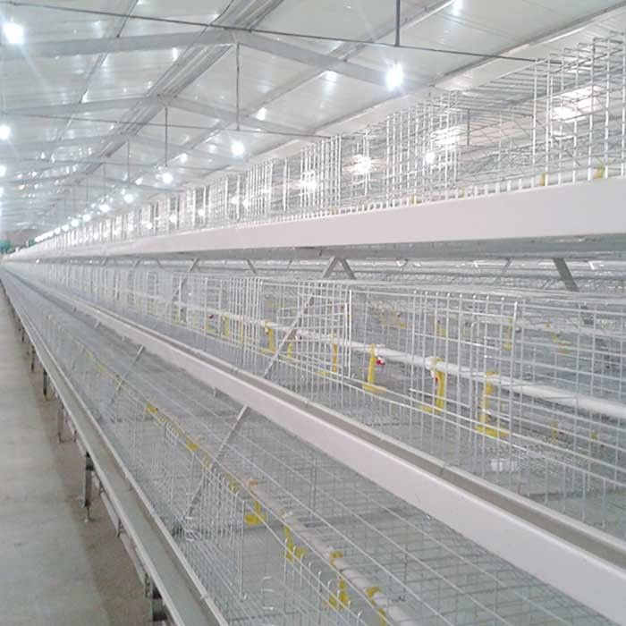 Hot Dipped Wire Mesh Broiler Chicken Cage System Automatic Feeding / Drinking