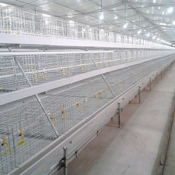 High Efficiency Broiler Chicken Cage Long Lifespan Environmental Friendly