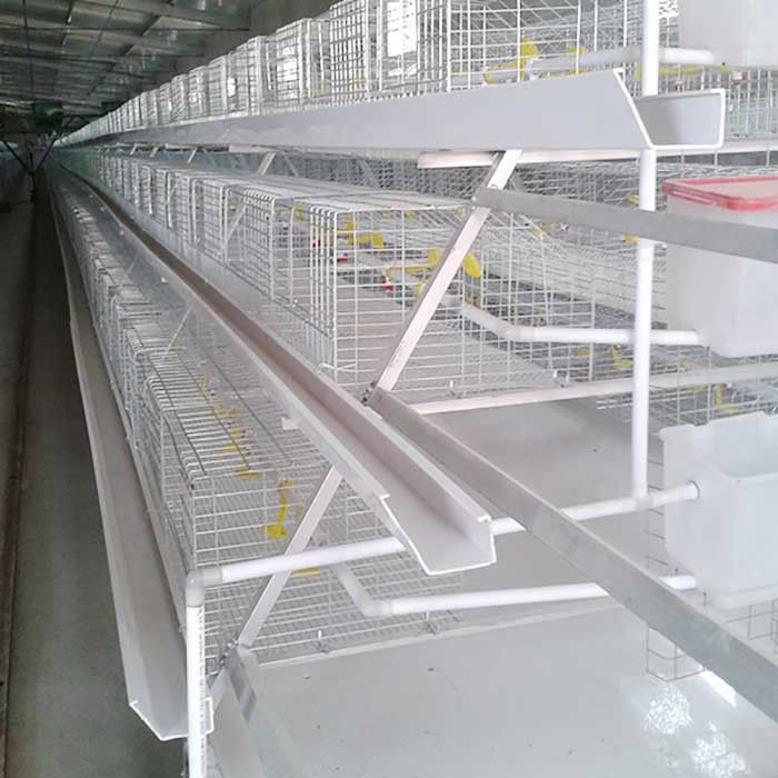 Hot Dipped Broiler Chicken Cage System , Q235 Steel High Tech Poultry Cage