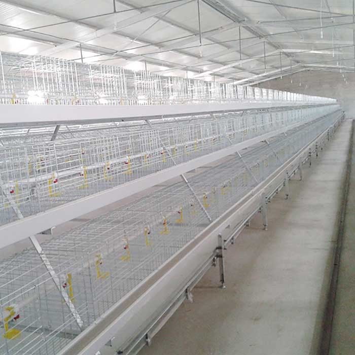 Large Capacity Poultry Broiler Chicken Cage Hot Dipped Wire Mesh Material