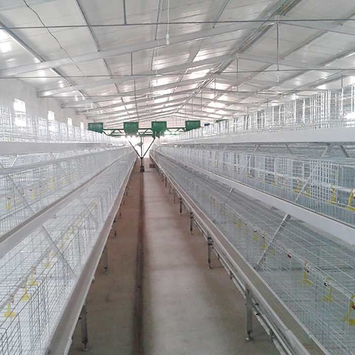 4 Tiers 8 Doors Broiler Chicken Cage Q235 Cold Drawn Wire Welding Large Elasticity