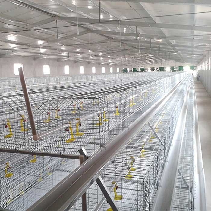 Corrision Resistant Battery Cage For Broilers , Auto Control Hi Tech Chicken Cage