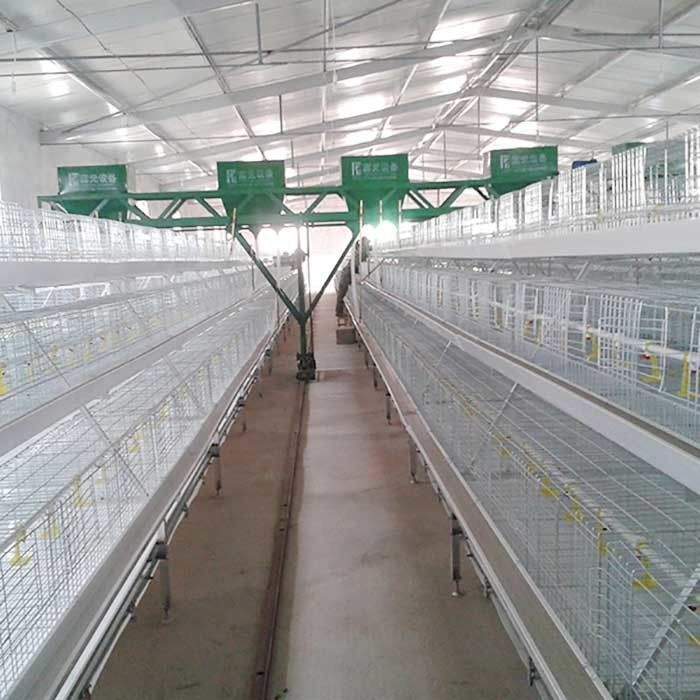 Farming Broiler Chicken Cage A Type 3 Tiers Automatic Control Easy To Install