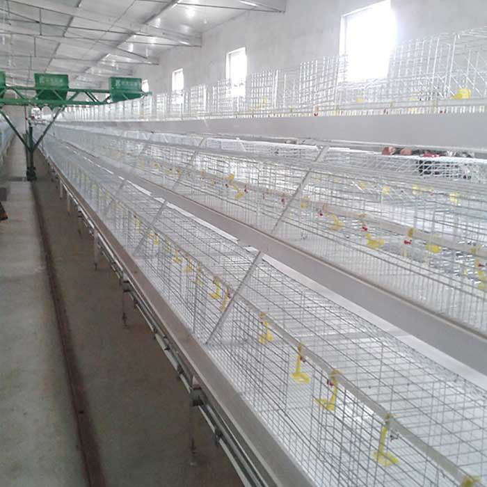 1.4m × 0.7m × 0.4m Battery Type Cage , Auto Drinking Layer Farming Cage