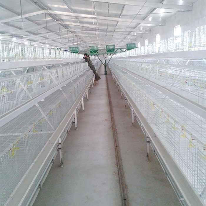 Less Respiratory Diseases Broiler Chicken Cage Labor / Space Saving Silver Color
