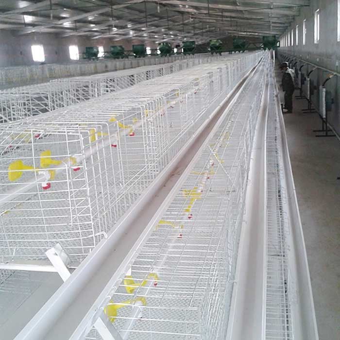 Custom Commercial Meat Chicken Cages, Durable Chick Breeding Cage