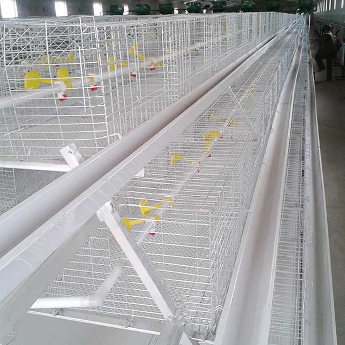 0.75kw Galvanized Wire Chicken Cages , Automatic Layer Poultry Farming Equipment
