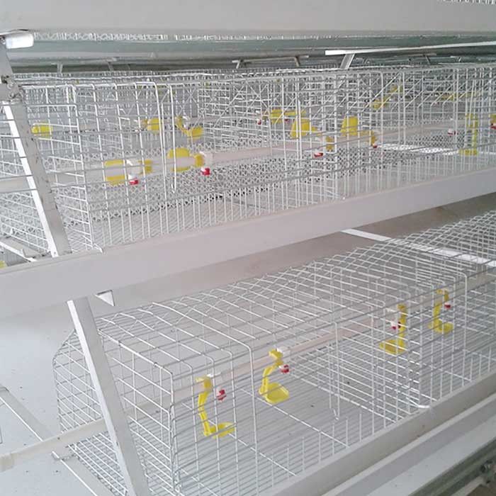 Fireproof Steel Cage For Chicken , Indoor Broiler Farm Cage Poultry House