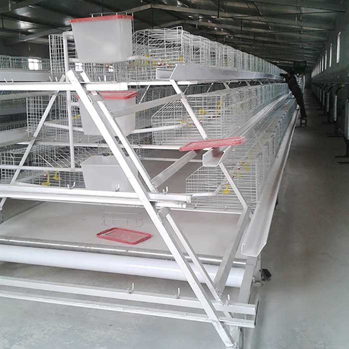 U Shape Q235 Steel Wire Poultry Cages , 125 * 100 * 63mm Chick Rearing Cage
