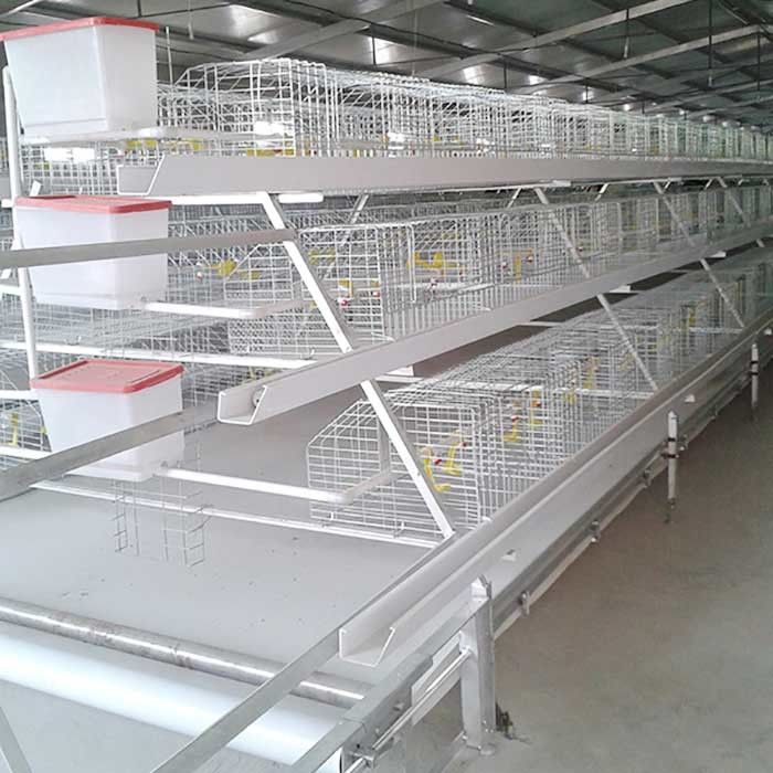 Stable Performance Broiler Chicken Cage Easy To Clean 20 - 25 Years Warranty