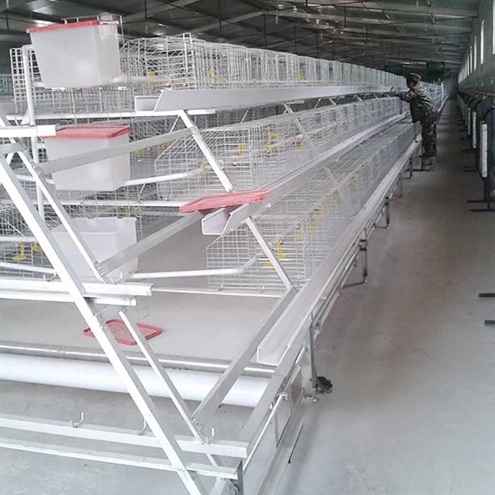 High Efficiency Broiler Chicken Cage With Nipple Drinker IS9001 Certification